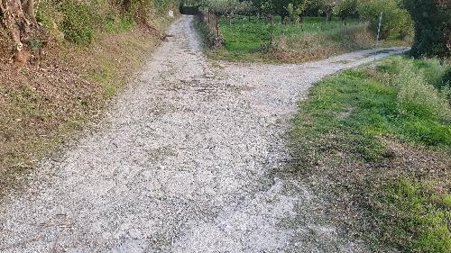 Berga efectuarà les obres de pavimentació del camí de Mas d'en Bosc aquest dijous, 21 d'octubre, que comportaran afectacions en el trànsit de la zona