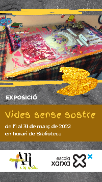 Exposició: Vides sense sostre