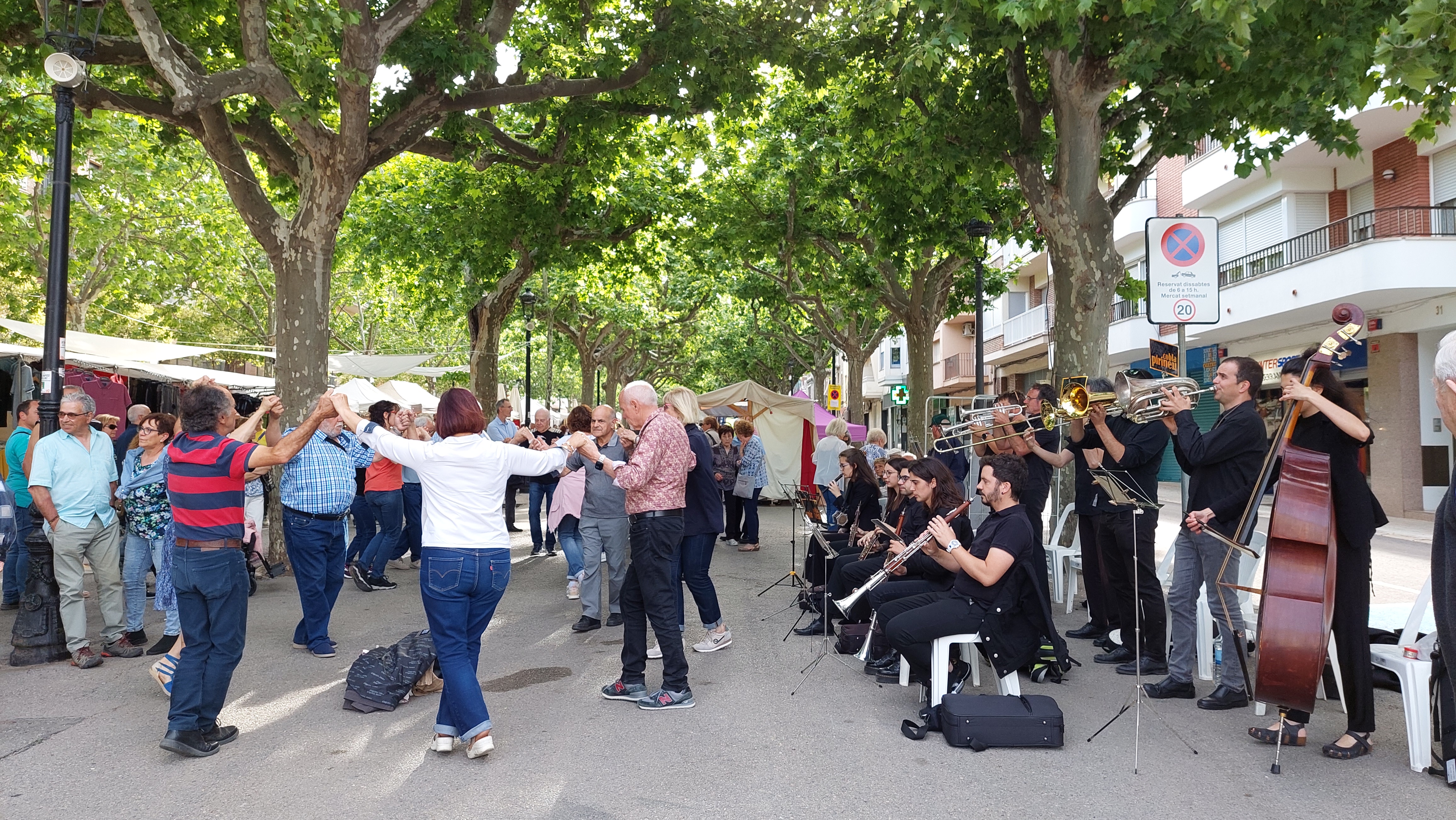 Audició de sardanes 