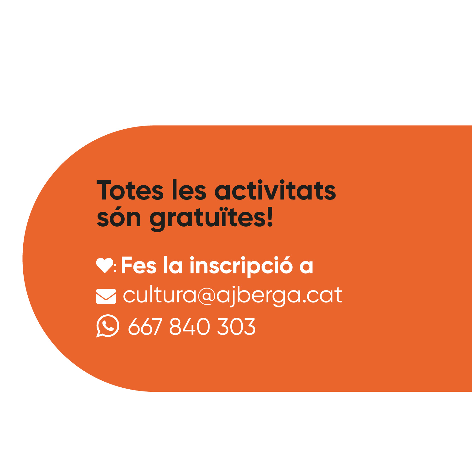 Informació del projecte 