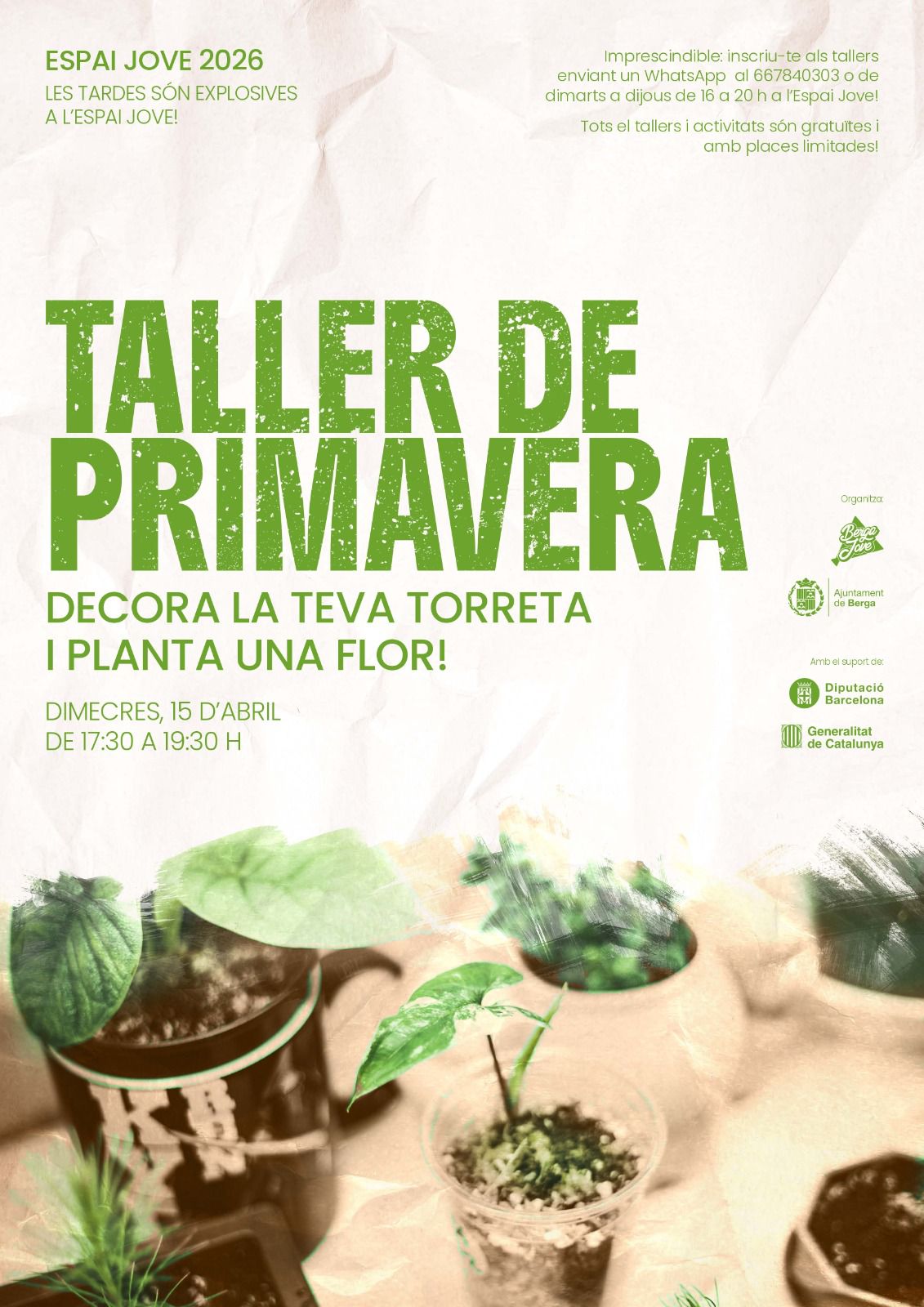 Taller de primavera