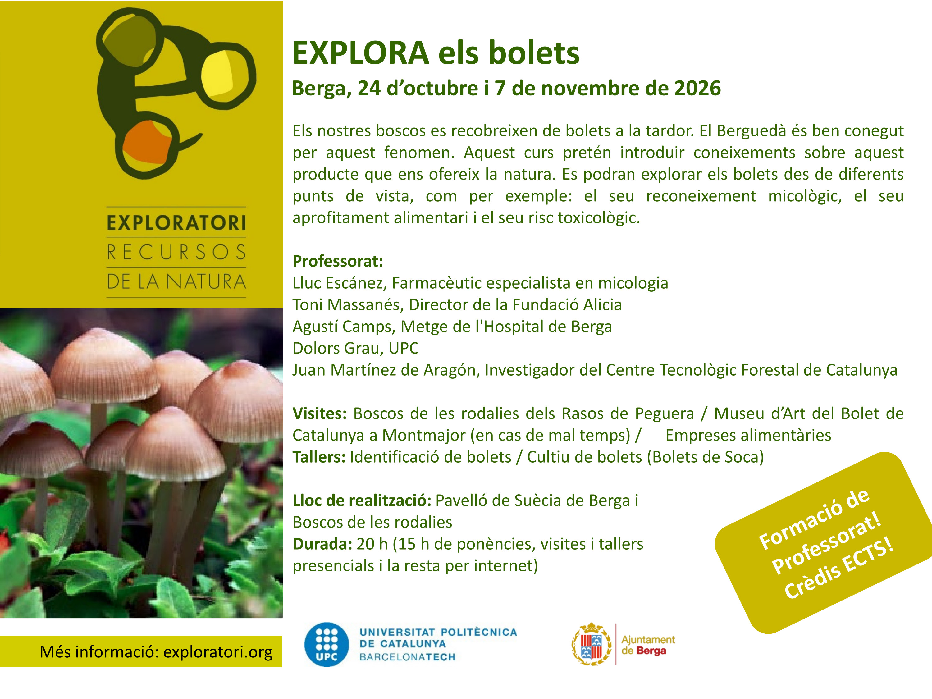 Explora els bolets 