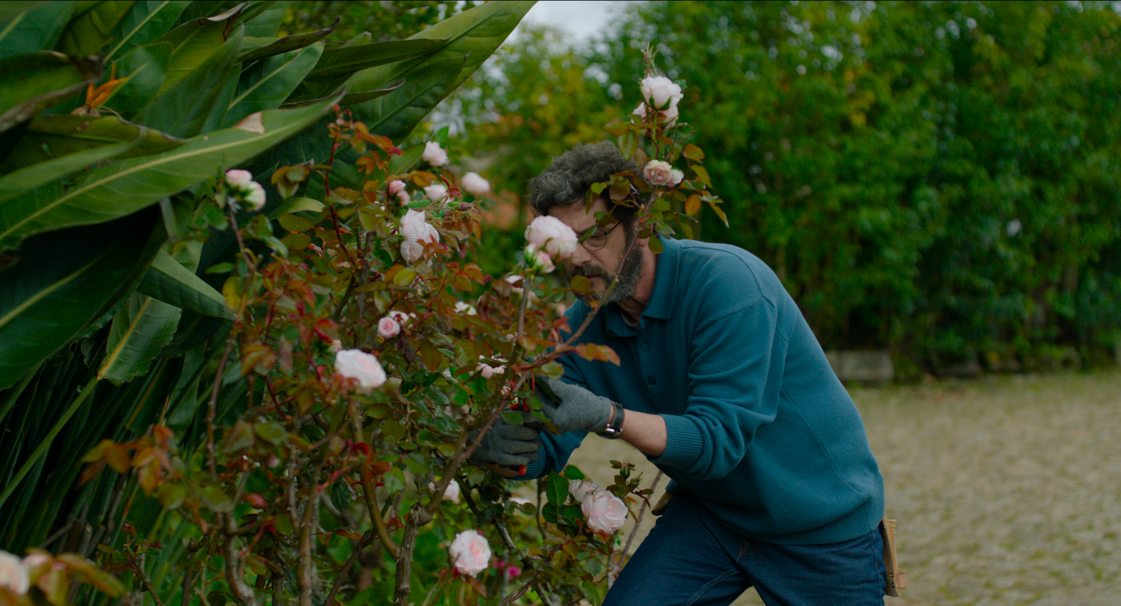 Fotograma de la pel&middot;l&iacute;cula 'Una quinta portuguesa'