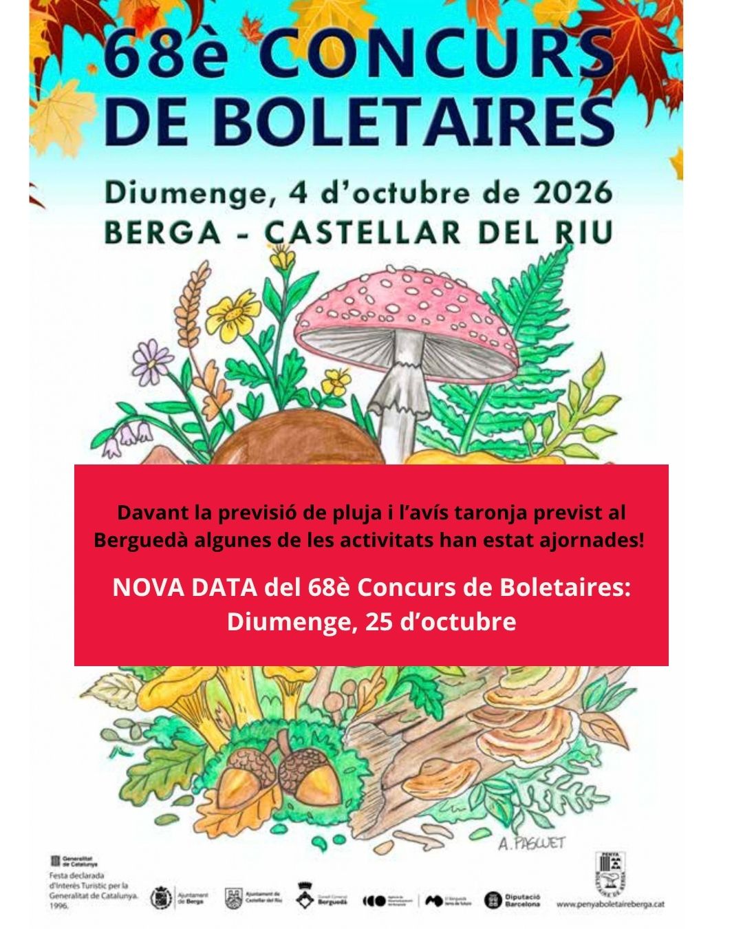 Festa dels Bolets