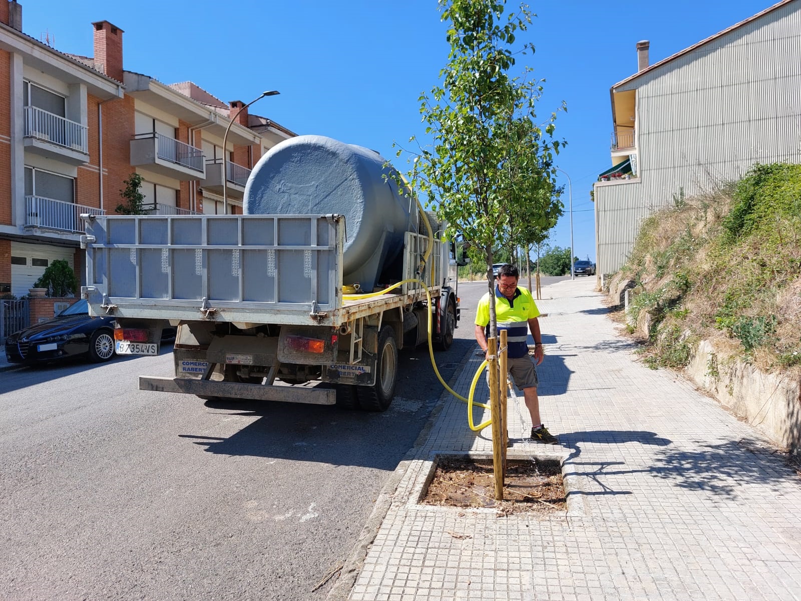 Berga compta amb més de 60 arbres nous i ha retirat o substituït exemplars inadequats durant la campanya d'arbrat d'enguany 