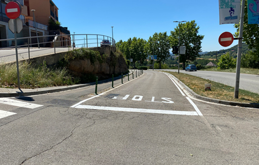 Vial d'accés al Tossalet de les Forques - Accés Berga Sud
