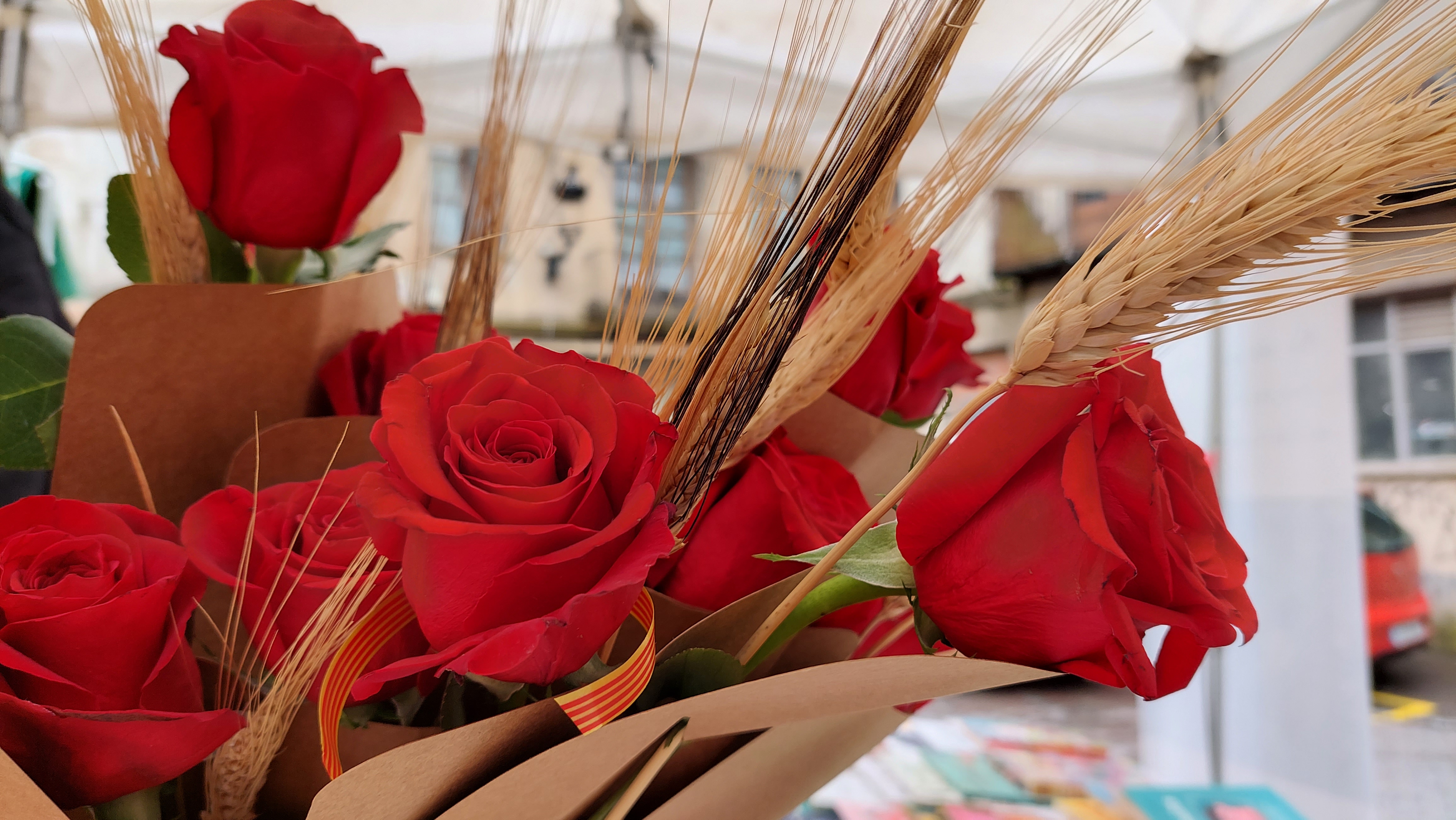 Berga obre el període per sol·licitar l'ocupació de la via pública per muntar parades durant la diada de Sant Jordi 2023 