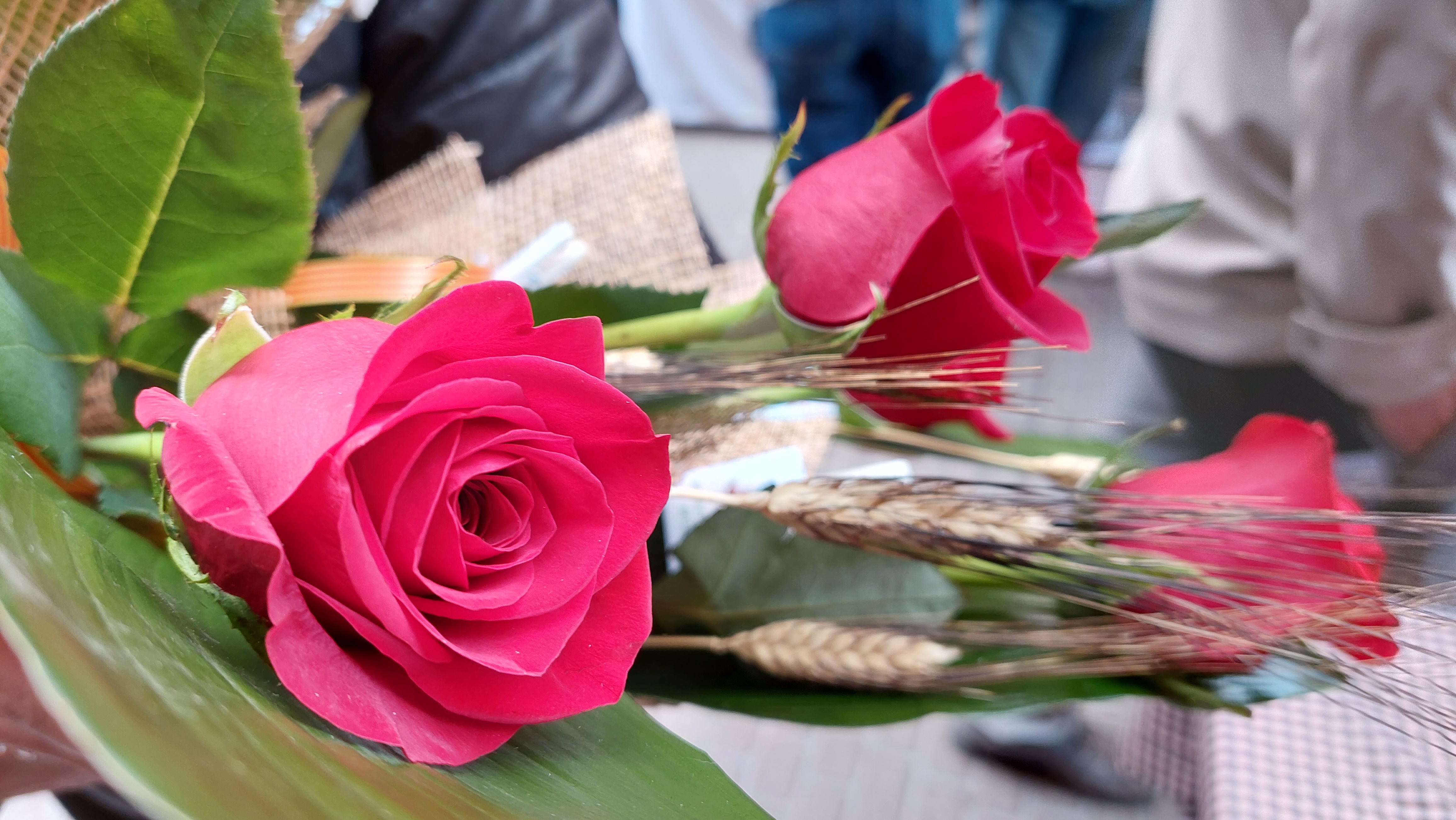 Berga obre el període per sol·licitar l'ocupació de la via pública per muntar parades durant la diada de Sant Jordi 2024