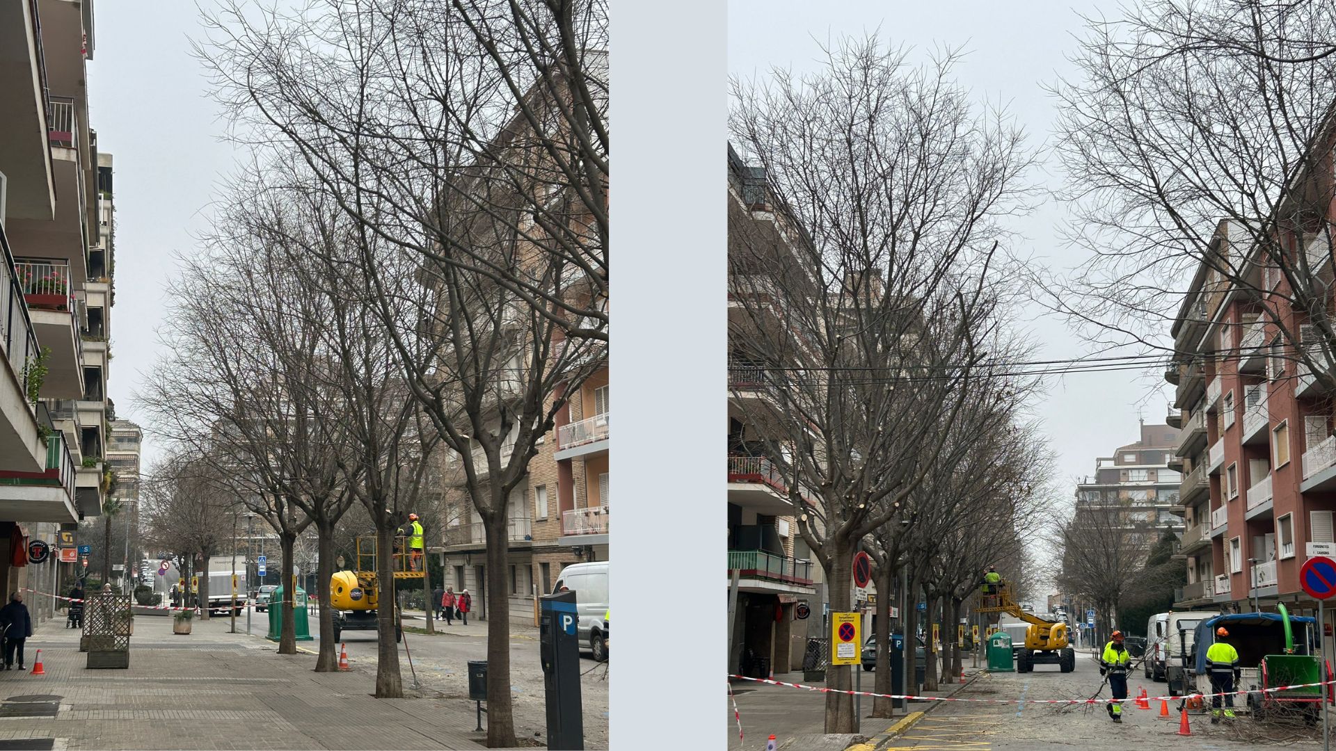 La campanya de poda d'arbrat urbà actuarà en més d'una vintena de carrers i places de Berga