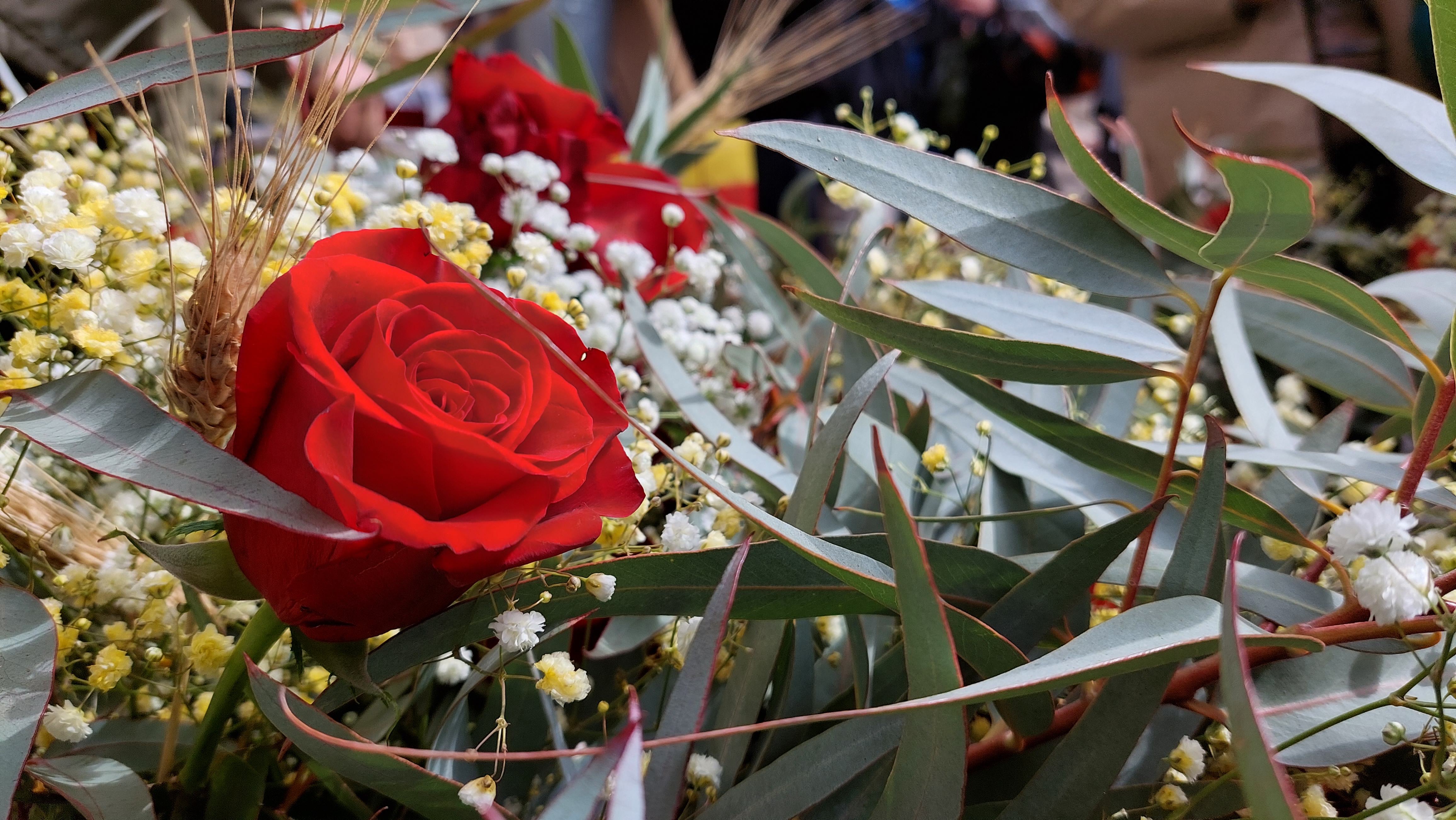 Berga obre el període per sol·licitar l'ocupació de la via pública per muntar parades durant la diada de Sant Jordi 2025