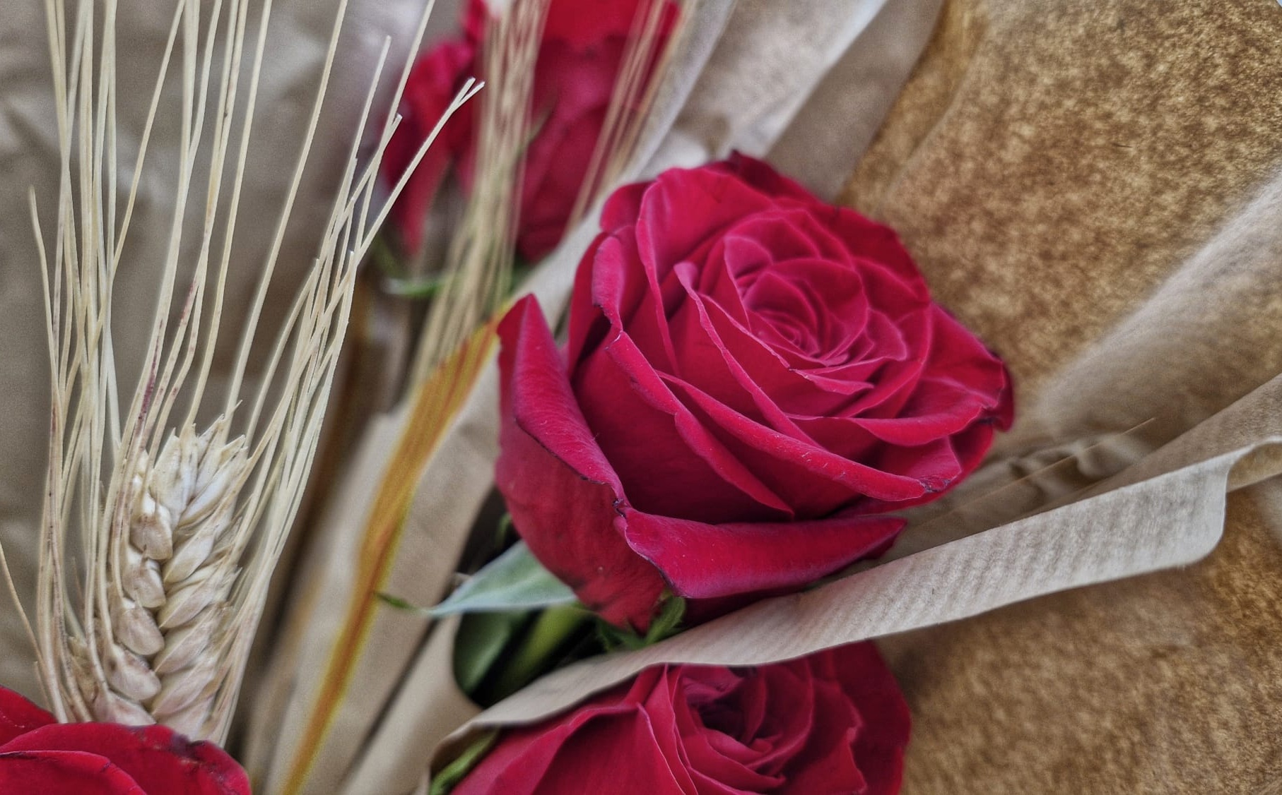 Berga obre la sol&middot;licitud d'ocupaci&oacute; de la via p&uacute;blica per muntar parades durant la diada de Sant Jordi 2026