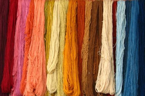 Berga inicia l'elaboració d'un Pla Local LGTBI amb una enquesta virtual per conèixer la percepció ciutadana sobre la matèria